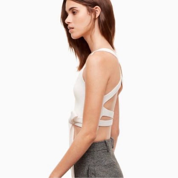 Aritzia Cayenne knit tank - Picture 2 of 7